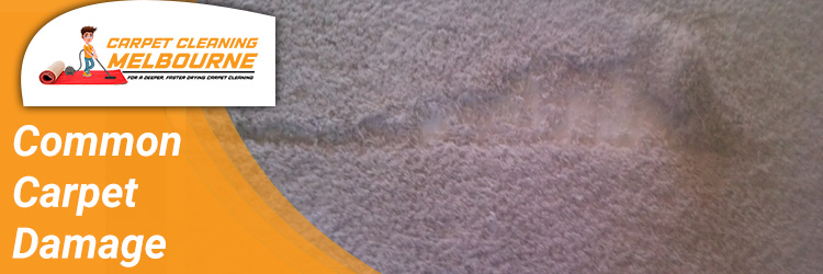 Common Carpet Damage