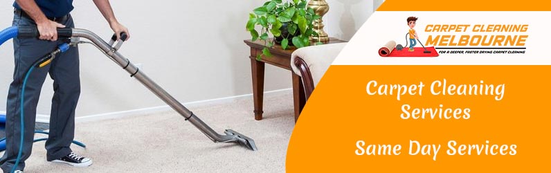 Carpet Cleaning Services