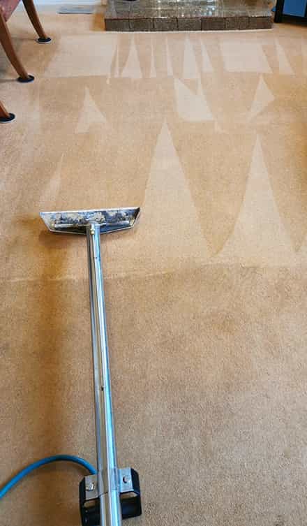 Best Choice for Carpet Cleaning Melbourne